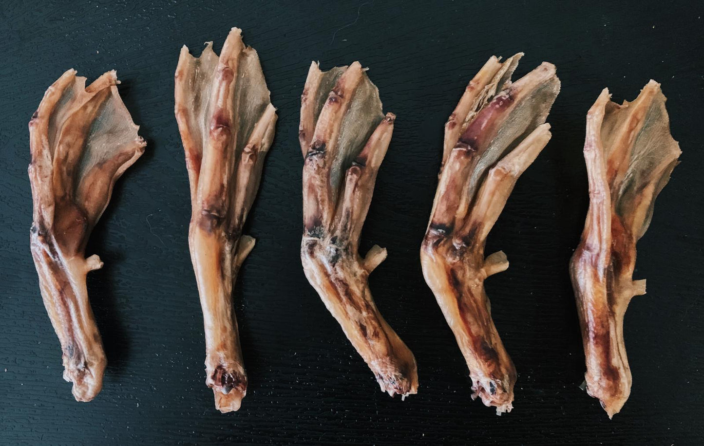 Duck Feet (5pcs/Pack)