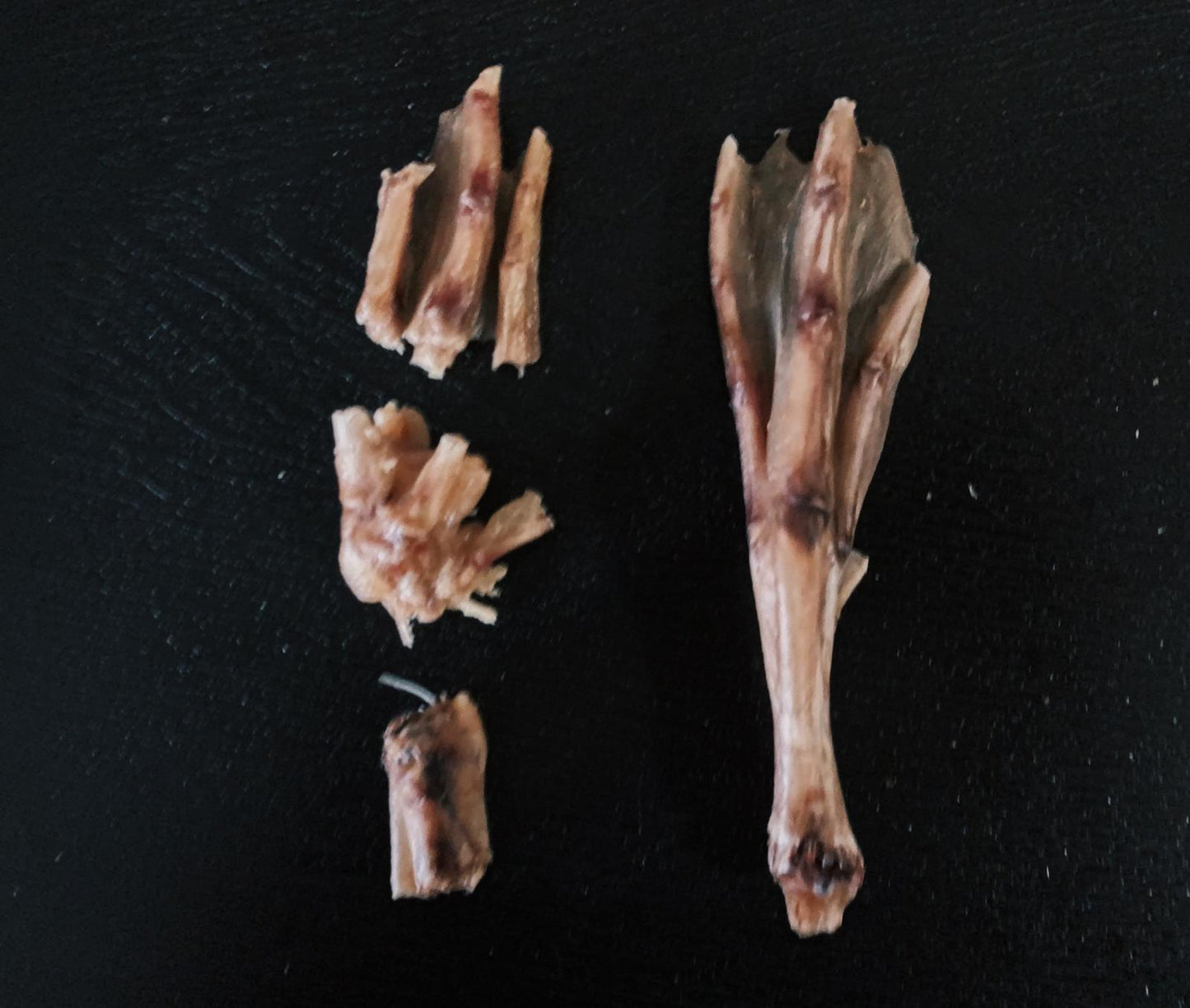 Duck Feet (5pcs/Pack)